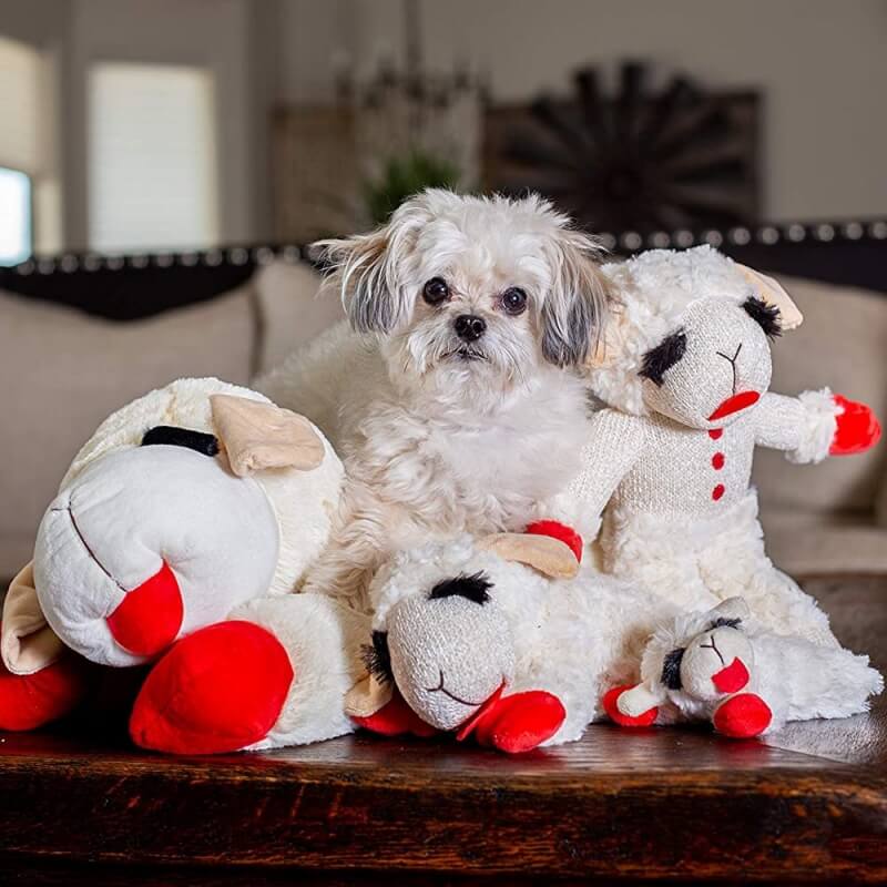 Lamb Plush Dog Toy | Squeaky Interactive Toy | Soft Chew Play | Woofing Deals