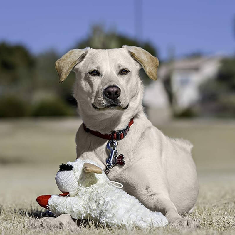 Lamb Plush Dog Toy | Squeaky Interactive Toy | Soft Chew Play | Woofing Deals