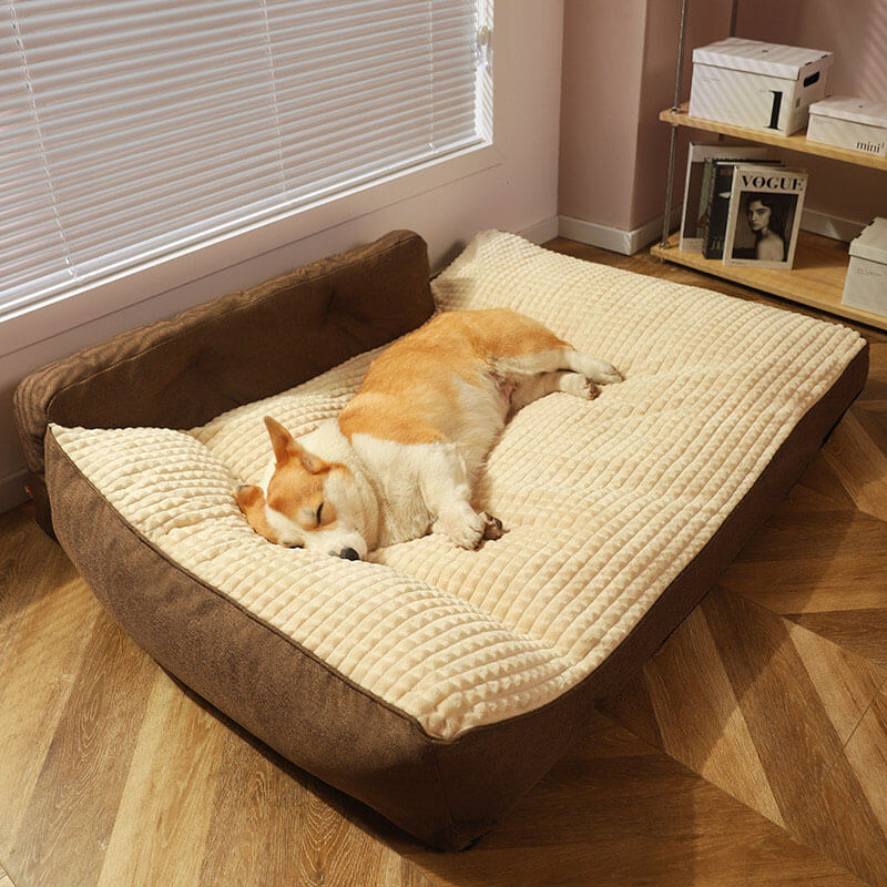 Thickened Cat & Dog Pillow Bed | Terylene | Backrest Support | Non-Slip | Machine Washable | Woofing Deals