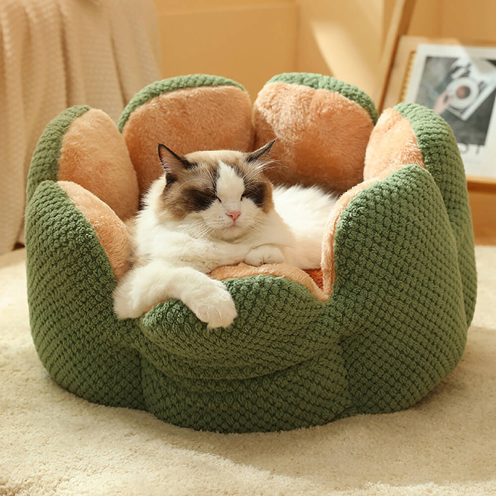 Cactus Pet Bed | Soft Coral Velvet Nest for Cats & Small Dogs | Woofing Deals