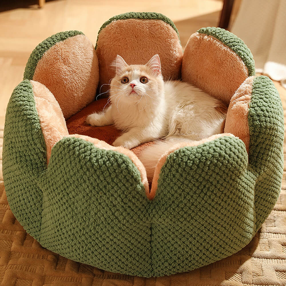 Cactus Pet Bed | Soft Coral Velvet Nest for Cats & Small Dogs | Woofing Deals