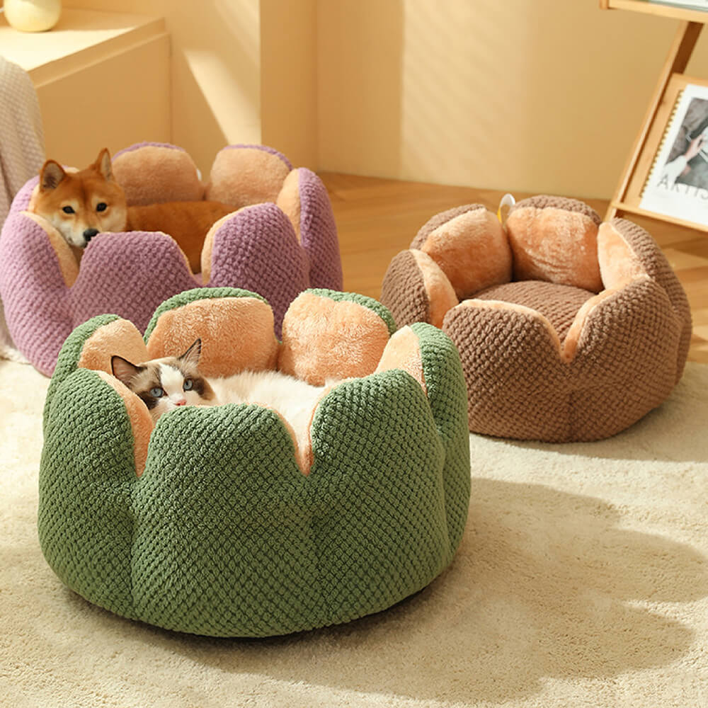 Cactus Pet Bed | Soft Coral Velvet Nest for Cats & Small Dogs | Woofing Deals