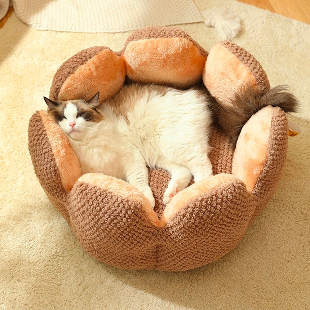 Cactus Pet Bed | Soft Coral Velvet Nest for Cats & Small Dogs | Woofing Deals