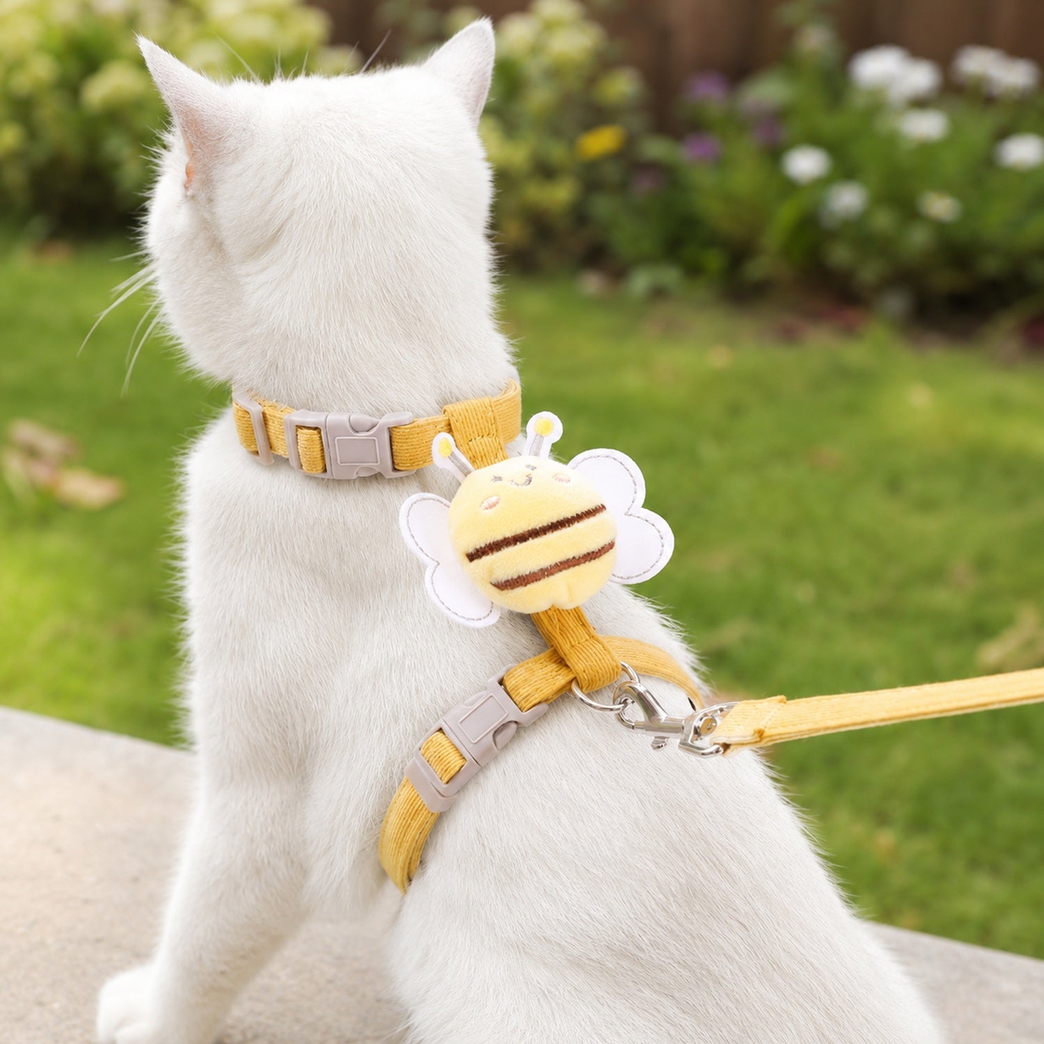Bee Cat Harness & Lead Set | Adjustable Anti-Escape Fit | Lightweight Walking Set