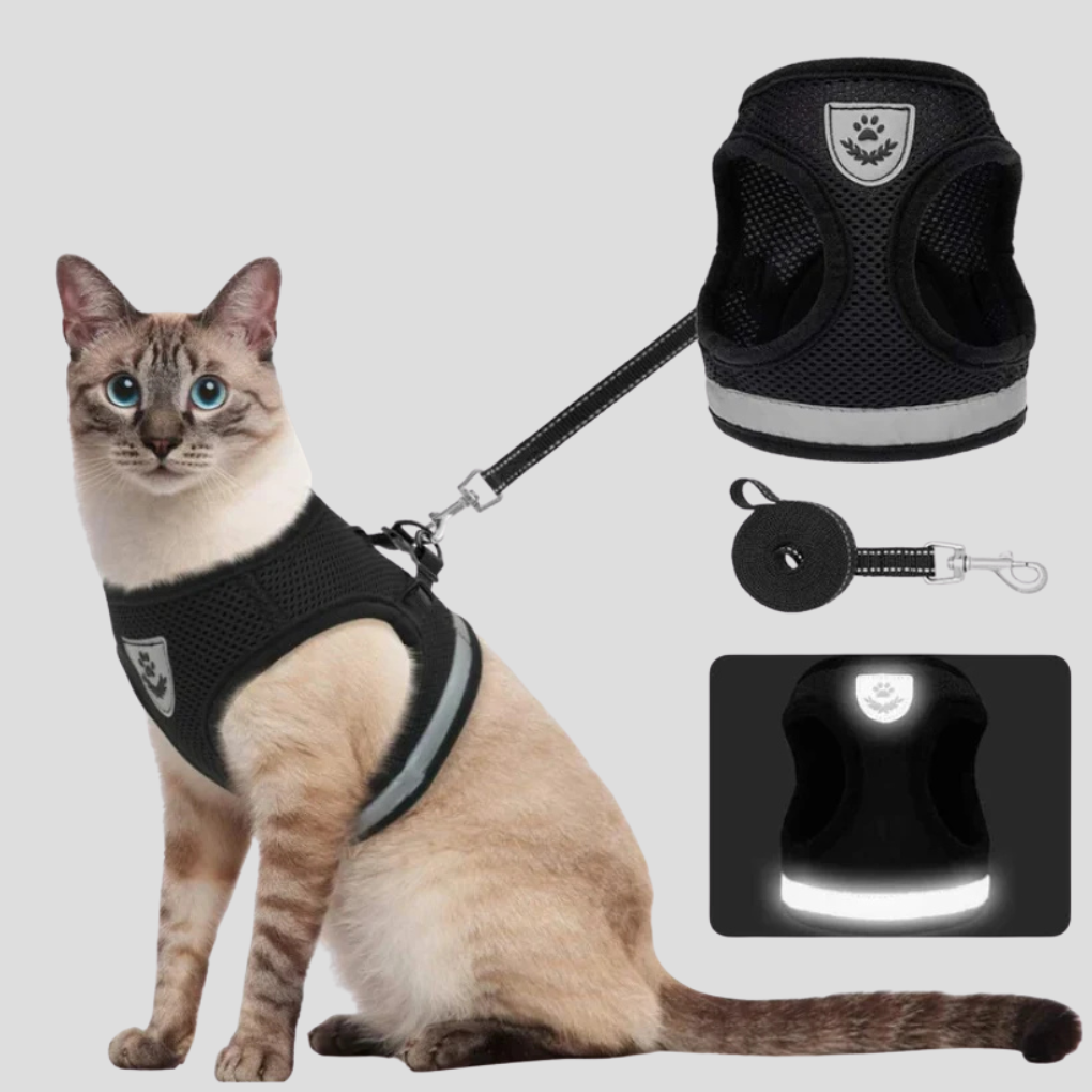 Cat Harness with Lead Set | Breathable Vest Harness | Adjustable Secure Fit | Woofing Deals