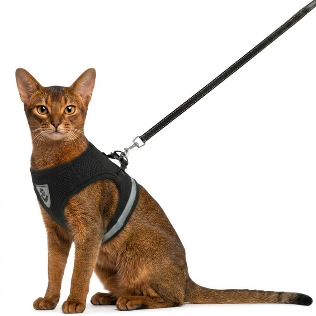Cat Harness with Lead Set | Breathable Vest Harness | Adjustable Secure Fit | Woofing Deals