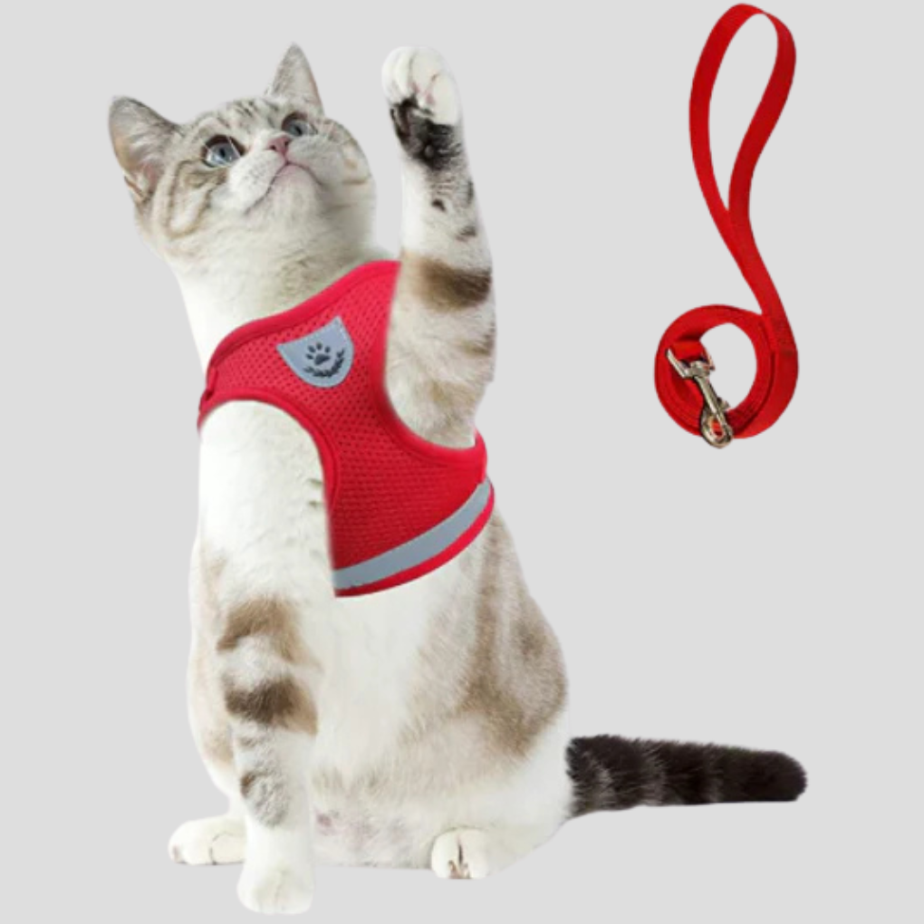 Cat Harness with Lead Set | Breathable Vest Harness | Adjustable Secure Fit | Woofing Deals