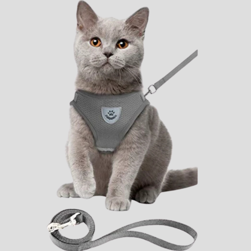 Cat Harness with Lead Set | Breathable Vest Harness | Adjustable Secure Fit | Woofing Deals