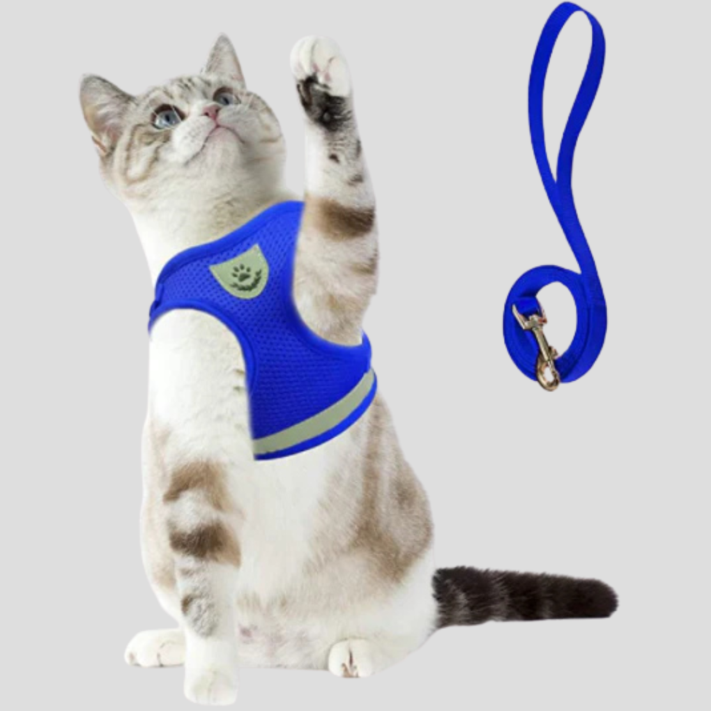 Cat Harness with Lead Set | Breathable Vest Harness | Adjustable Secure Fit | Woofing Deals