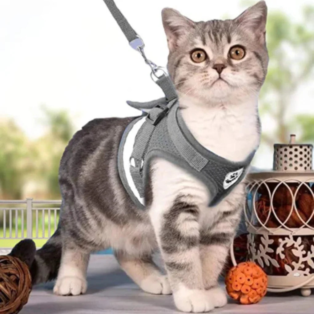Cat Harness with Lead Set | Breathable Vest Harness | Adjustable Secure Fit | Woofing Deals
