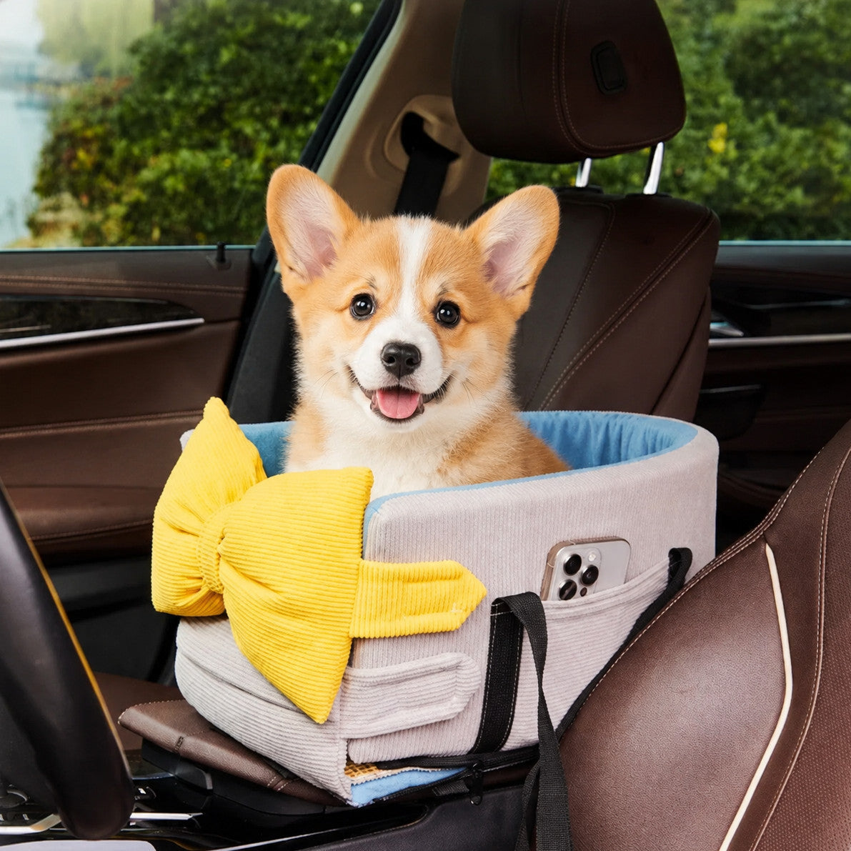 Bow-Knot Pet Car Seat Carrier | Washable Corduroy | Safety Straps & Carry Handles