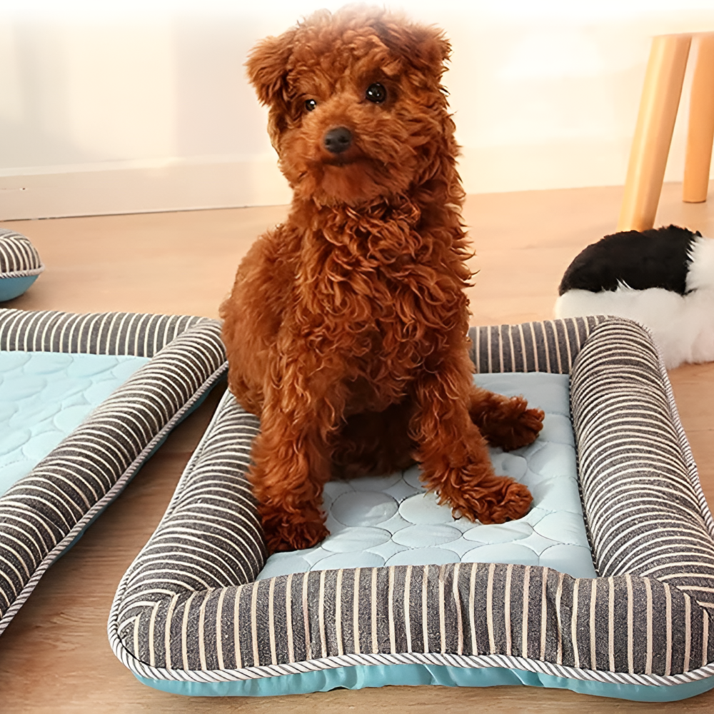 Cooling Dog Mat | Breathable Fabric Bed | Raised Sides | Summer Heat Relief | Woofing Deals