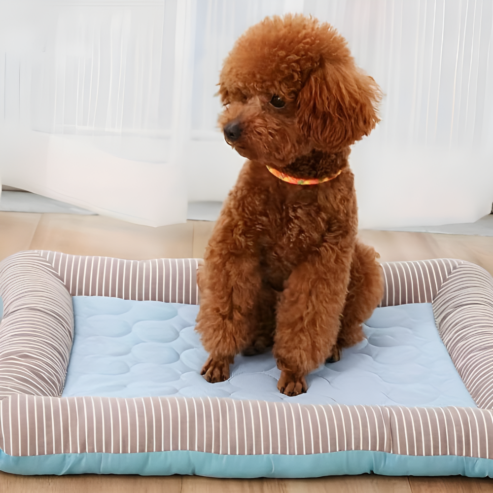 Cooling Dog Mat | Breathable Fabric Bed | Raised Sides | Summer Heat Relief | Woofing Deals
