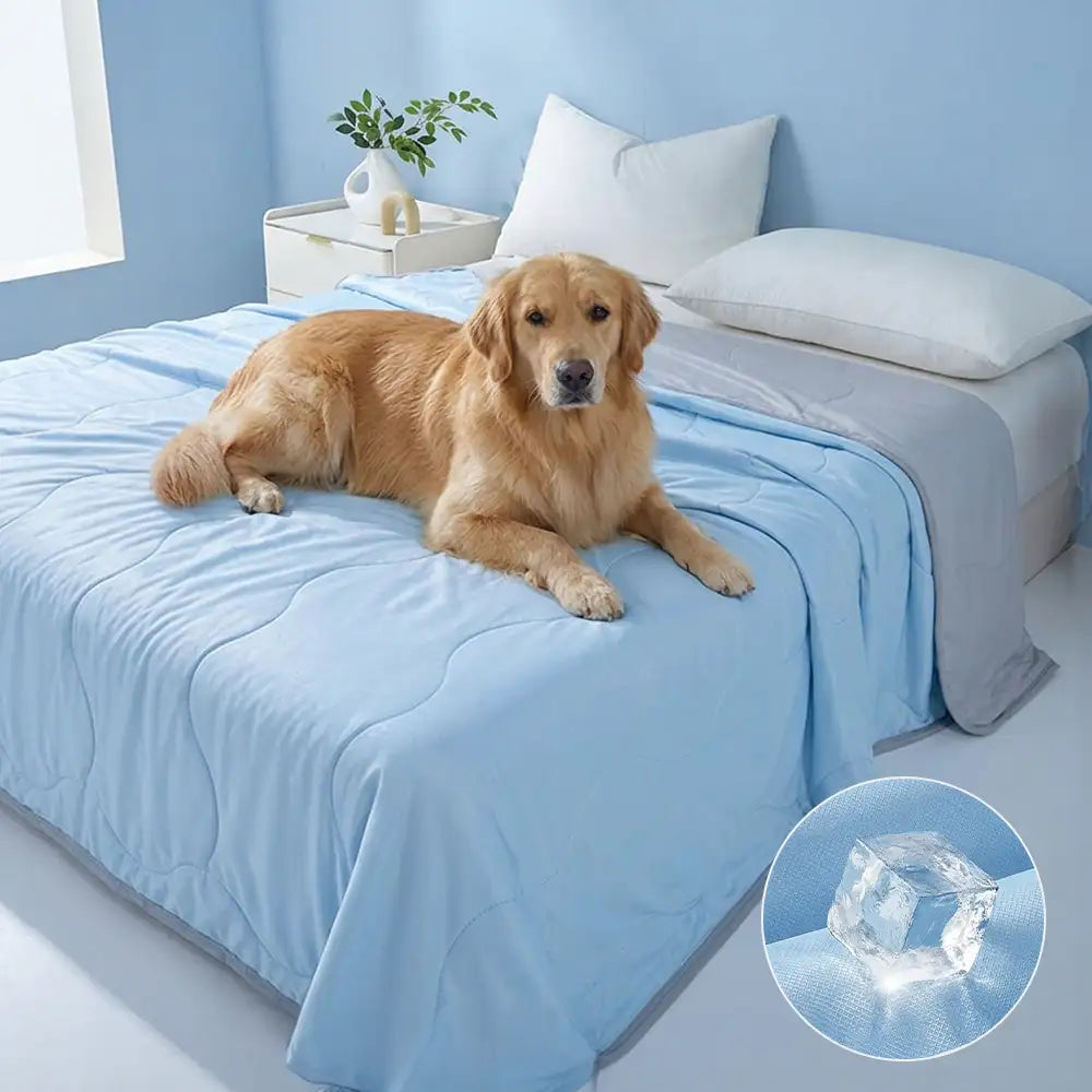 Cooling Ice Silk Blanket | Double-Sided Wave Summer Bedding