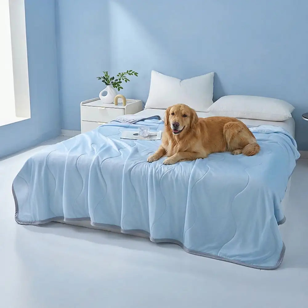 Cooling Ice Silk Blanket | Double-Sided Wave Summer Bedding