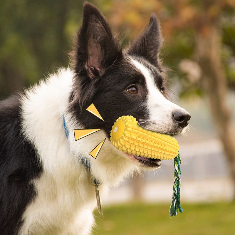 Corn Dog Chew Toy | Squeaky Dental Toothbrush with Rope | Woofing Deals