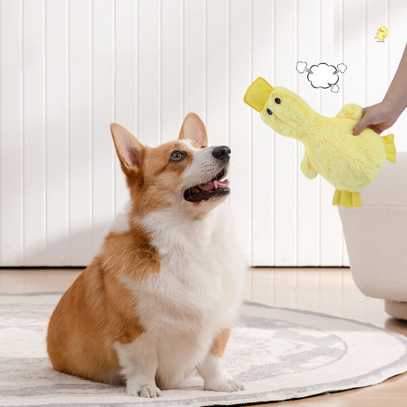 Duck Plush Dog Toy | Squeaky Chew Toy | Soft Interactive Play | Woofing Deals