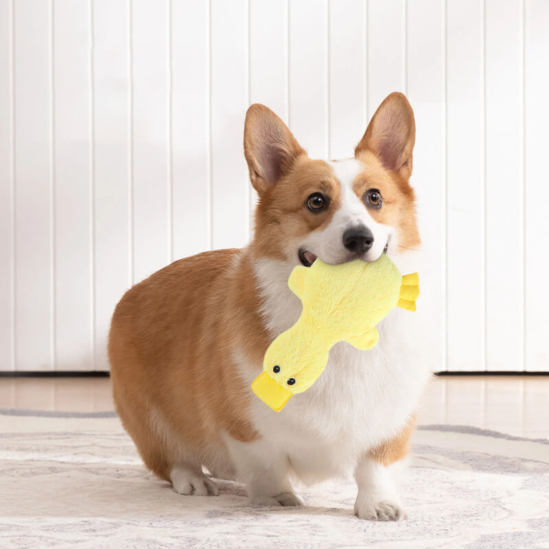 Duck Plush Dog Toy | Squeaky Chew Toy | Soft Interactive Play | Woofing Deals