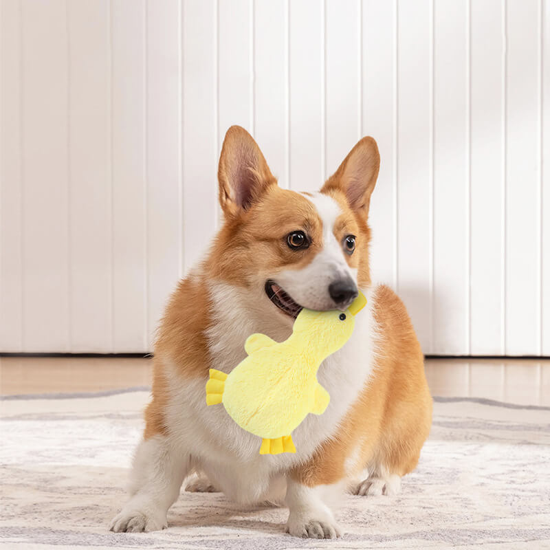 Duck Plush Dog Toy | Squeaky Chew Toy | Soft Interactive Play | Woofing Deals