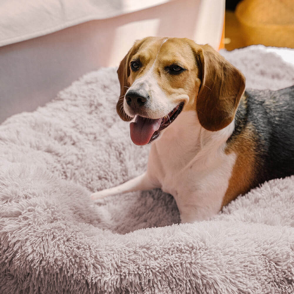 Calming Round Dog Bed | Fluffy Faux Fur | Raised Rim | Joint Relief | Machine Washable | Woofing Deals