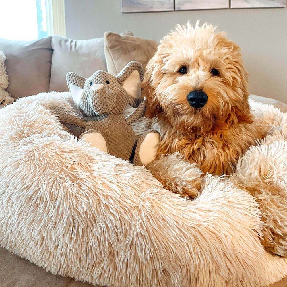 Calming Round Dog Bed | Fluffy Faux Fur | Raised Rim | Joint Relief | Machine Washable | Woofing Deals