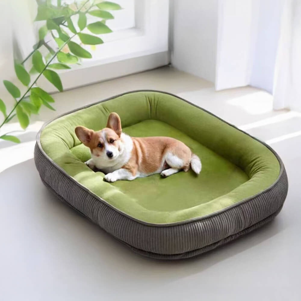 Durable Dog Bed | Scratch-Resistant Suede Surface | Soft Washable Cushion | Non-Slip Base | Woofing Deals