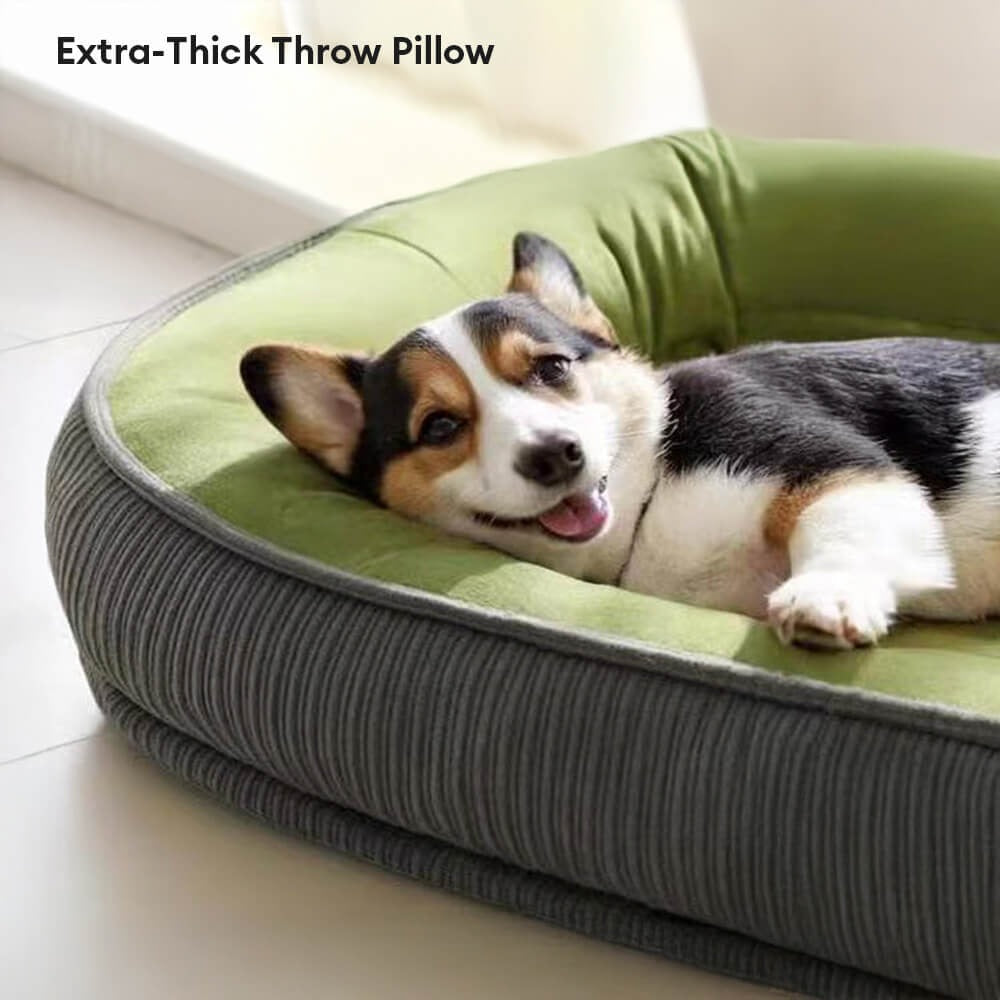 Durable Dog Bed | Scratch-Resistant Suede Surface | Soft Washable Cushion | Non-Slip Base | Woofing Deals