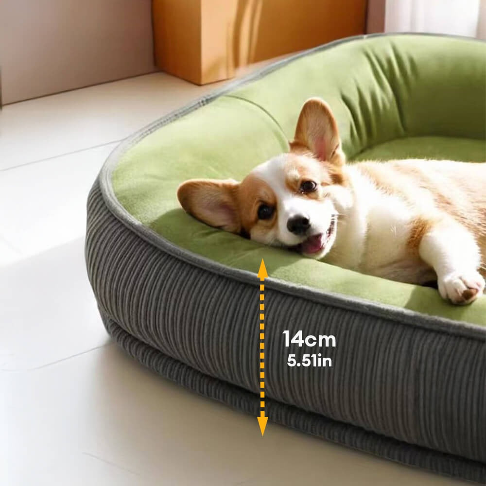 Durable Dog Bed | Scratch-Resistant Suede Surface | Soft Washable Cushion | Non-Slip Base | Woofing Deals