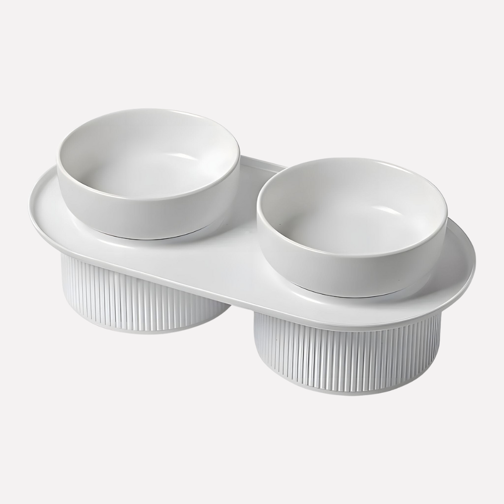Elevated Ceramic Pet Bowl | Raised Cat & Dog Feeding Stand | Woofing Deals