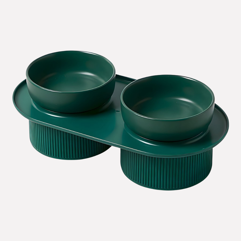 Elevated Ceramic Pet Bowl | Raised Cat & Dog Feeding Stand | Woofing Deals