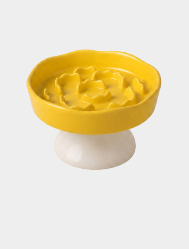 Feeders & Bowls