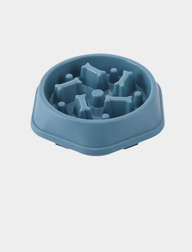 Feeders & Bowls