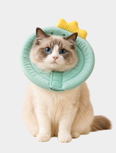 Pet Grooming Supplies