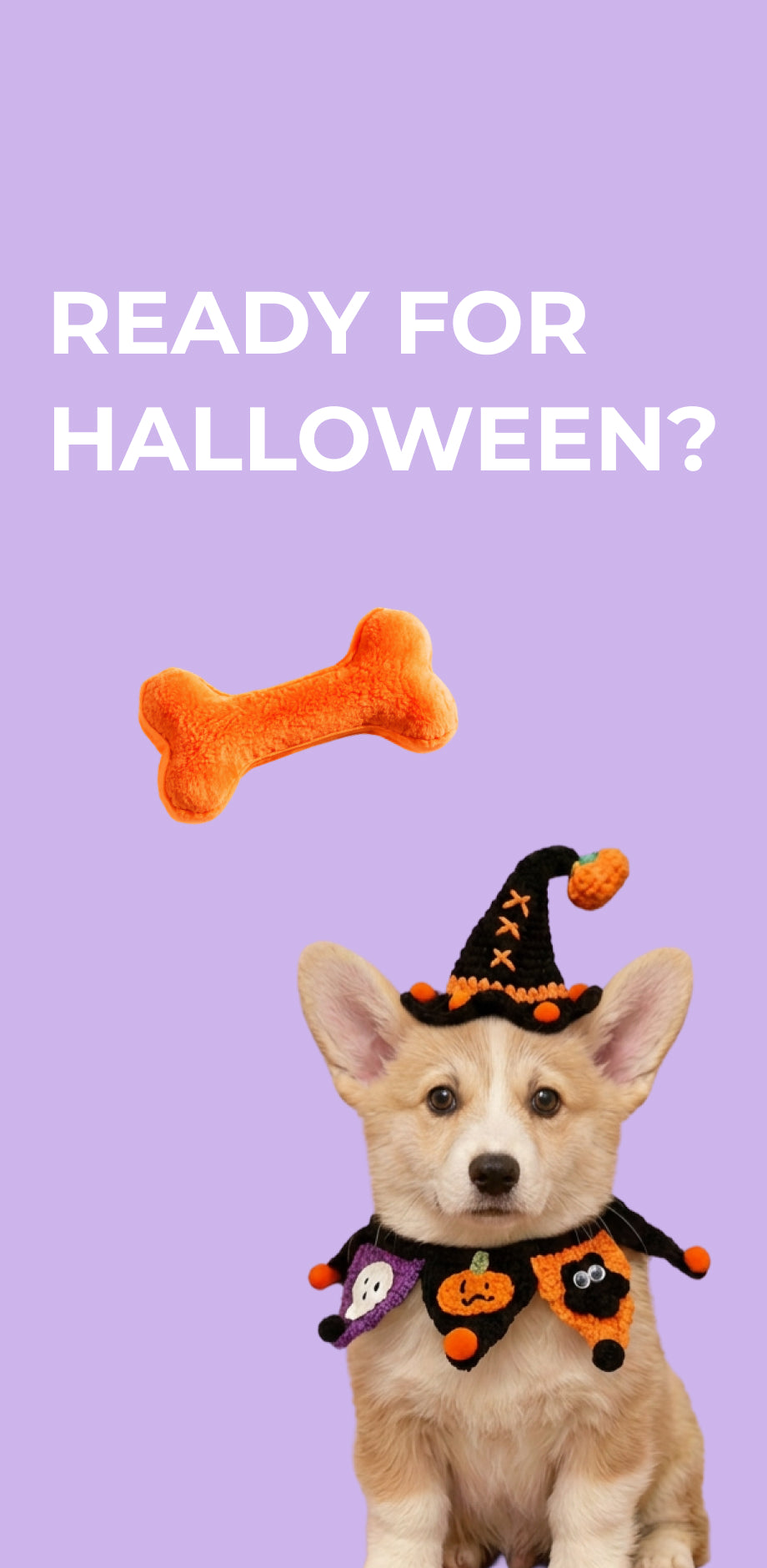It's Halloween!