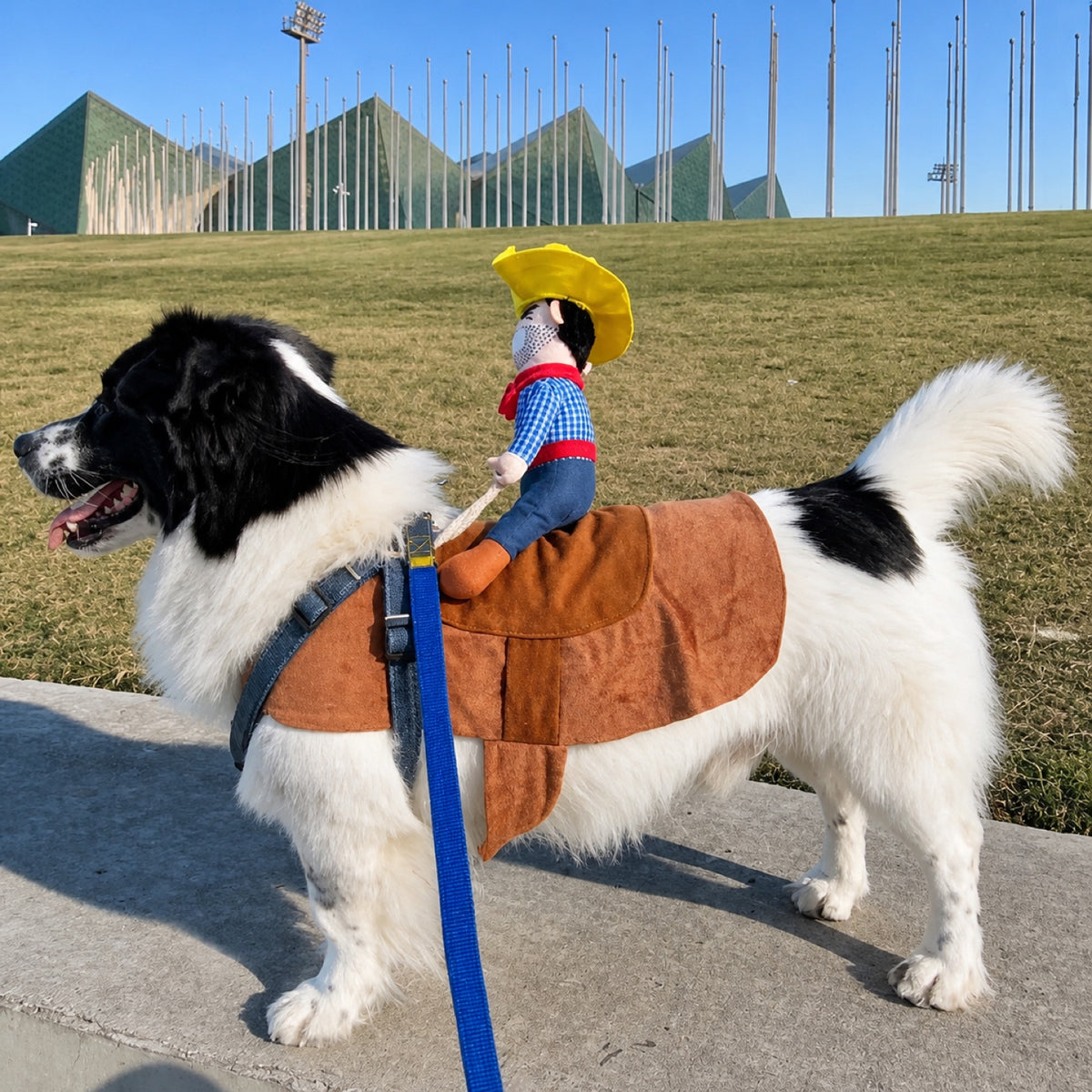 Cowboy Rider Pet Costume | Funny Halloween Fancy Dress Outfit
