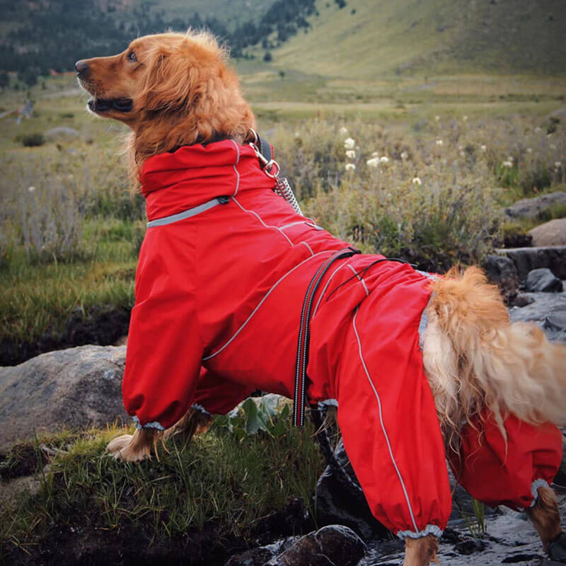 Large Dog Rain Coat | Waterproof Outdoor Jacket | Adjustable Fit | Woofing Deals