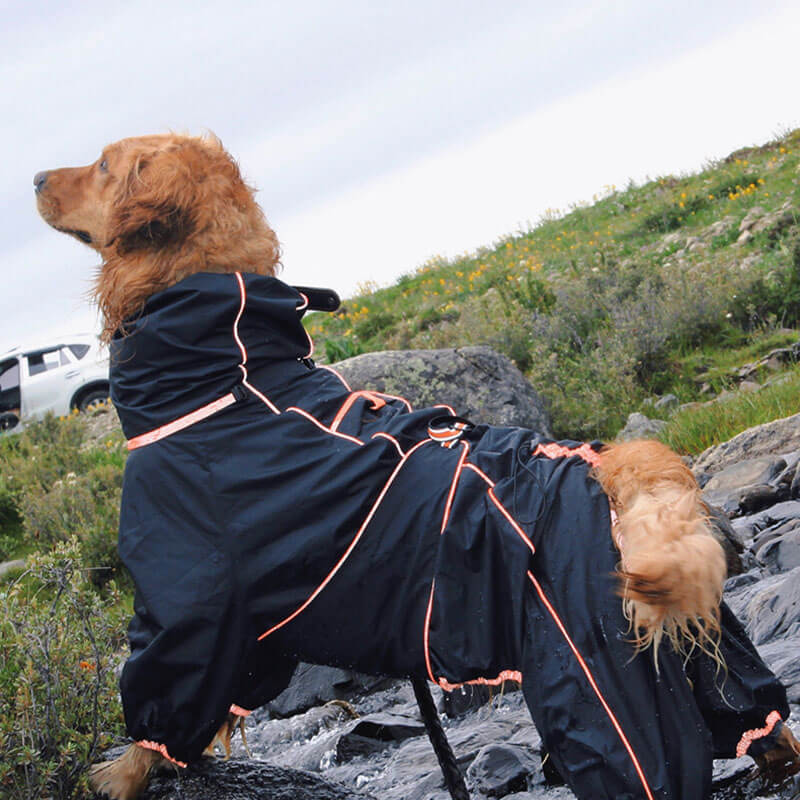 Large Dog Rain Coat | Waterproof Outdoor Jacket | Adjustable Fit | Woofing Deals