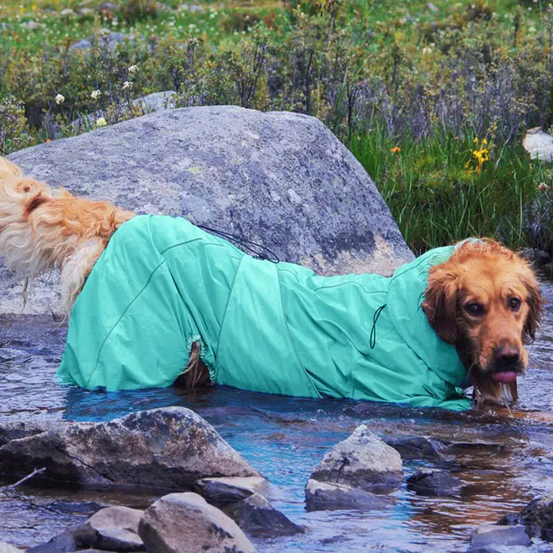 Large Dog Rain Coat | Waterproof Outdoor Jacket | Adjustable Fit | Woofing Deals