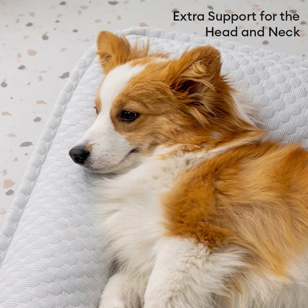 Large Cooling Dog Bed | Ice Silk Neck Support Non-Slip Bed