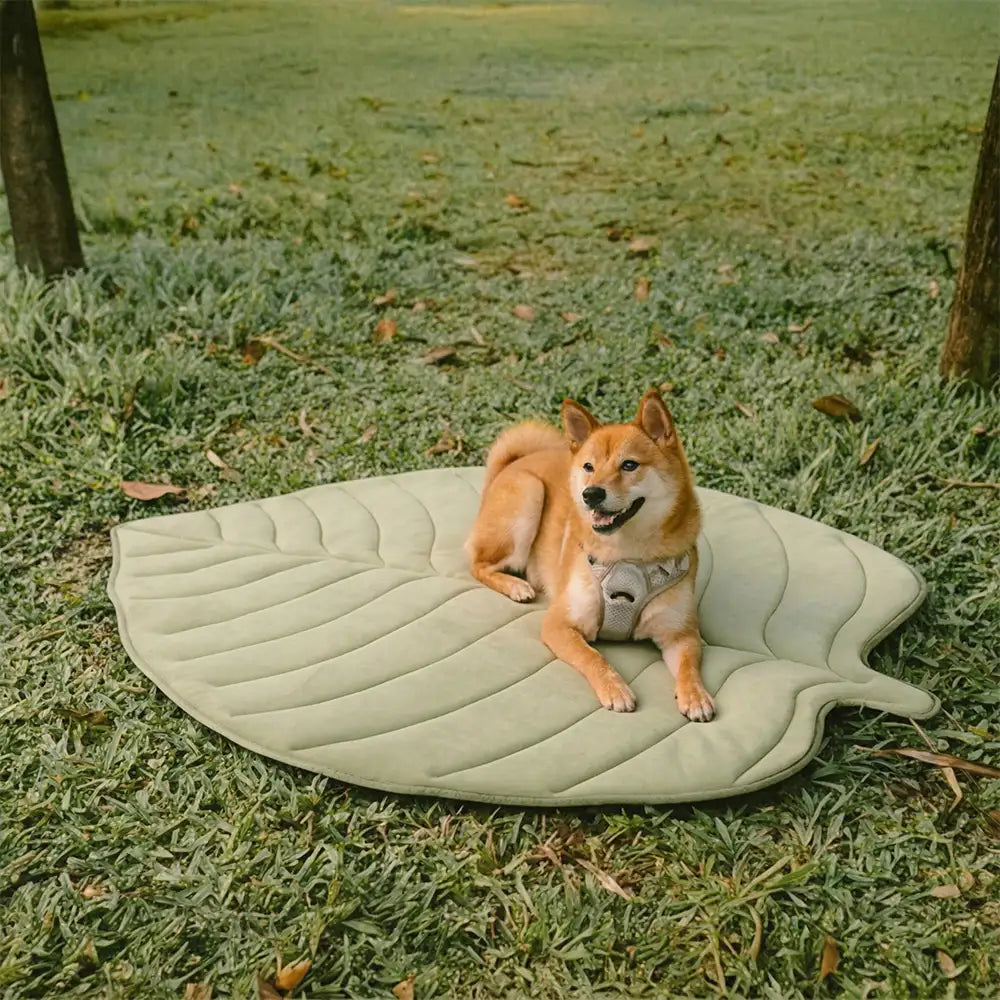 Leaf Cooling Dog Mat | Ice Silk Non-Slip Pet Bed
