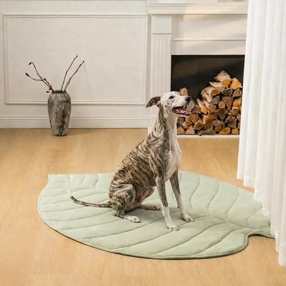 Leaf Cooling Dog Mat | Ice Silk Non-Slip Pet Bed