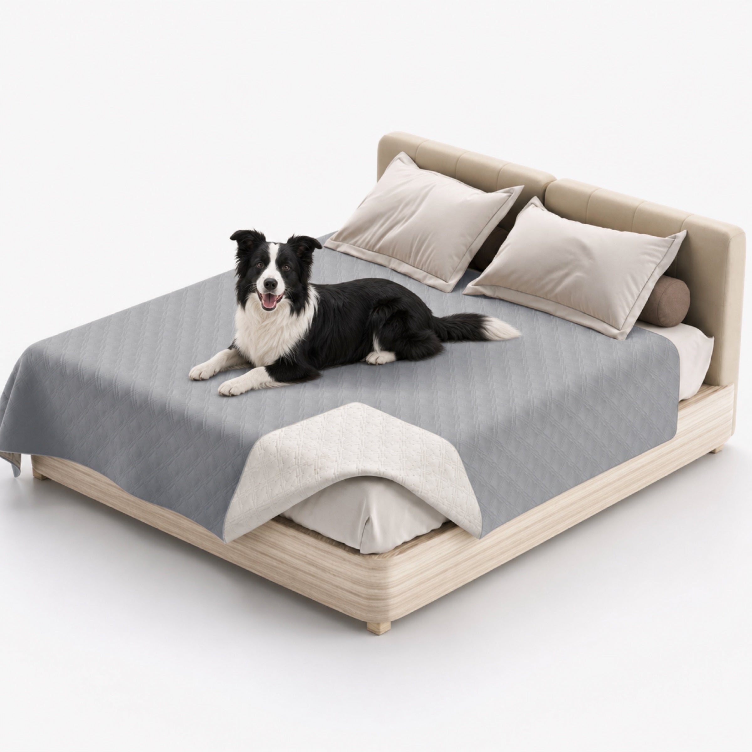 Dog lying on a modern bed with gray water-repellent pet blanket mattress protector and beige pillows against a white background