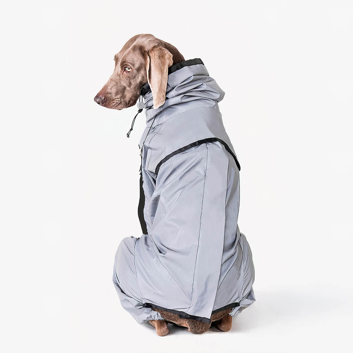 Reflective Dog Rain Coat | Waterproof All-Weather Pet Jacket | Woofing Deals