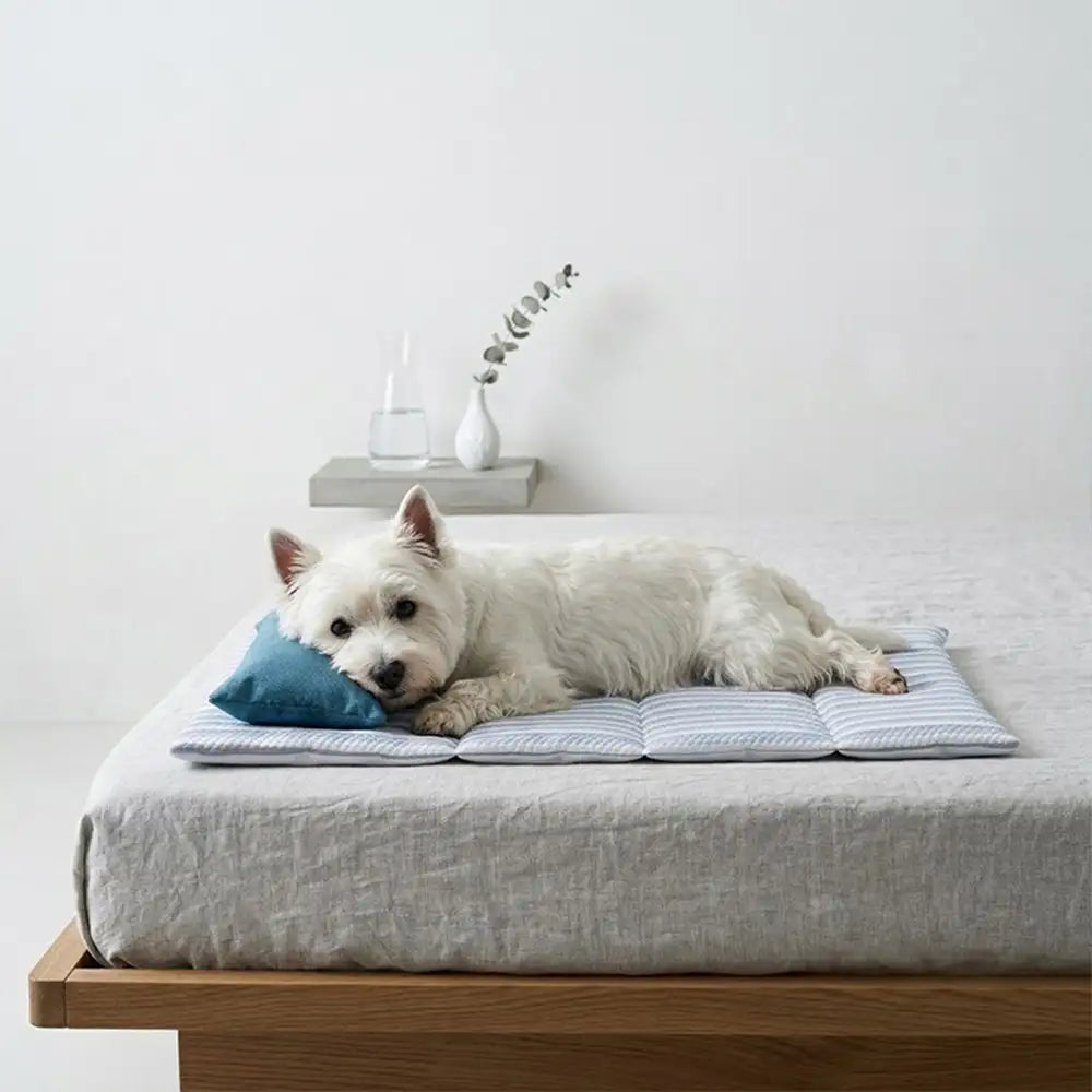Striped Cooling Dog Mat | Ice Silk Non-Slip Bed with Pillow