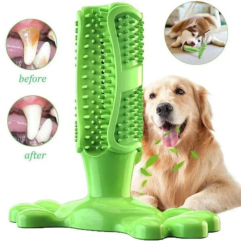 Cactus Dog Chew Toy | Rubber Treat Dispenser | Dental Toothbrush Toy for All Dogs | Woofing Deals