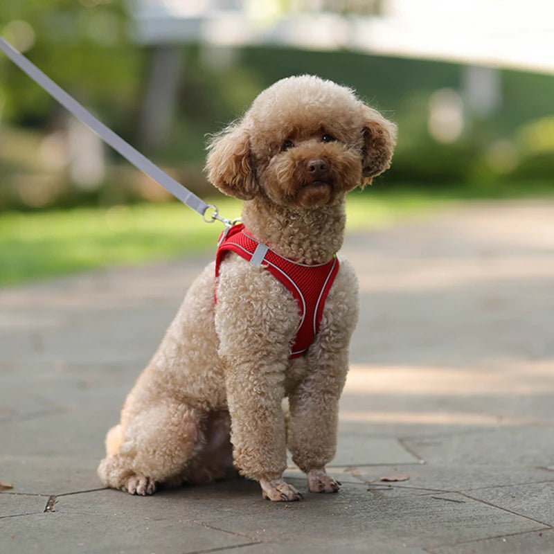 Dog Harness & Lead Set | Adjustable Fit | Breathable Vest | Reflective Outdoor Walking Set | Woofing Deals