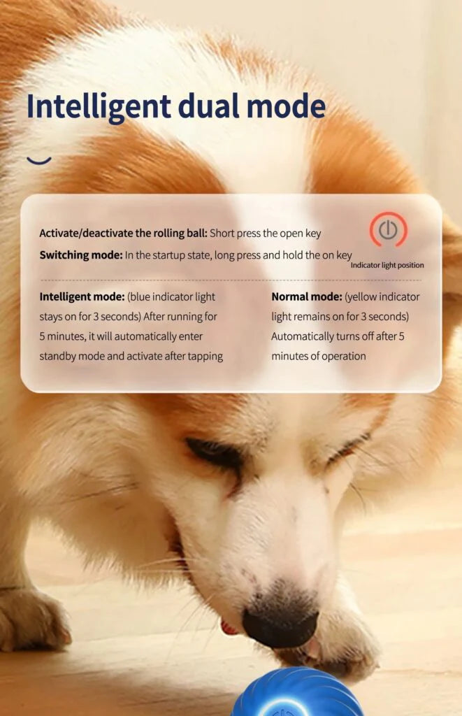Interactive Smart Dog Ball | Automatic Rechargeable Toy | Interactive Training & Play Toy | Woofing Deals