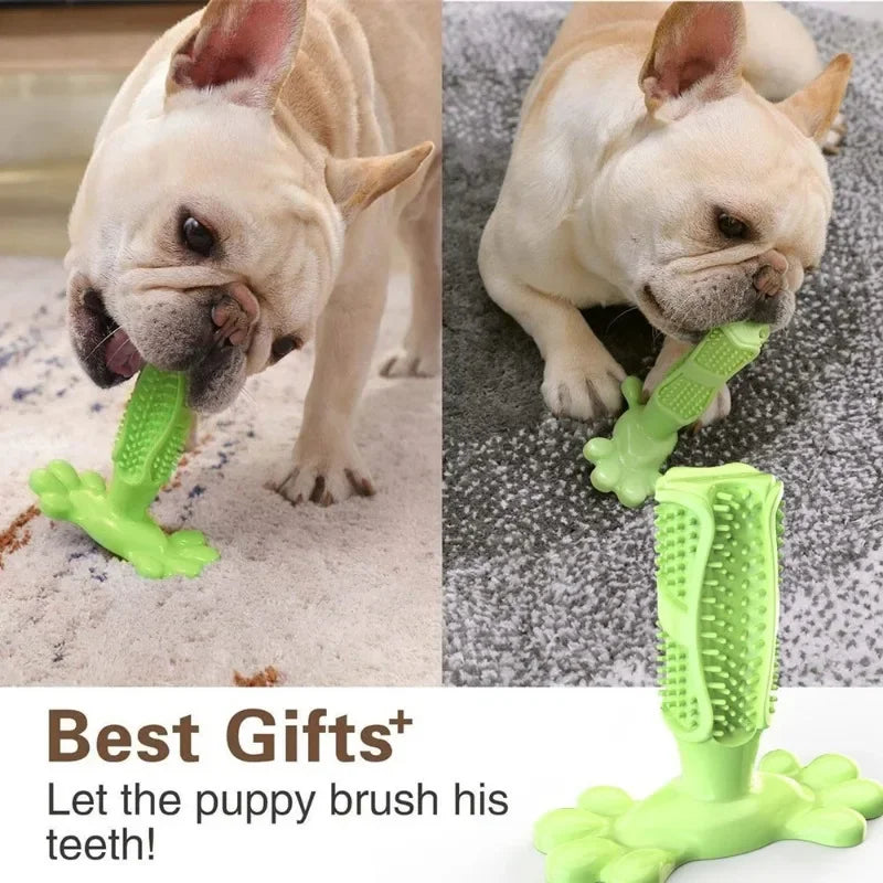 Cactus Dog Chew Toy | Rubber Treat Dispenser | Dental Toothbrush Toy for All Dogs | Woofing Deals
