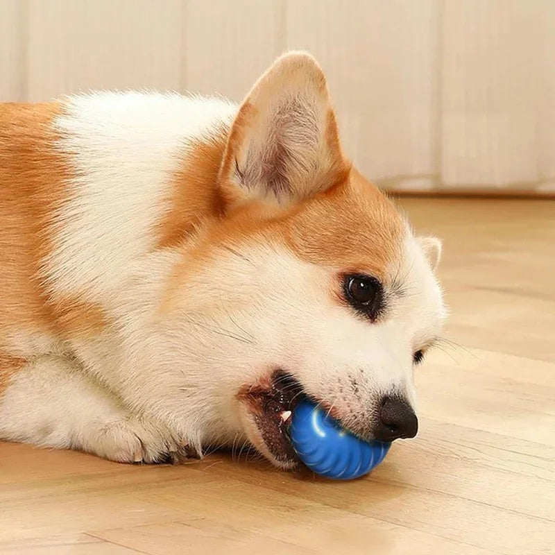 Interactive Smart Dog Ball | Automatic Rechargeable Toy | Interactive Training & Play Toy | Woofing Deals