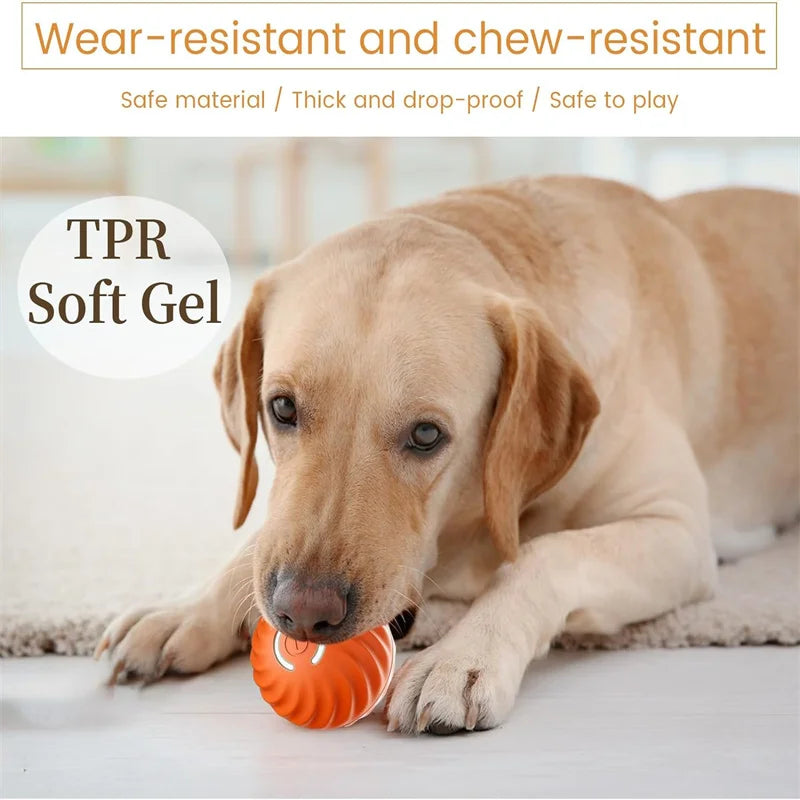 Interactive Smart Dog Ball | Automatic Rechargeable Toy | Interactive Training & Play Toy | Woofing Deals